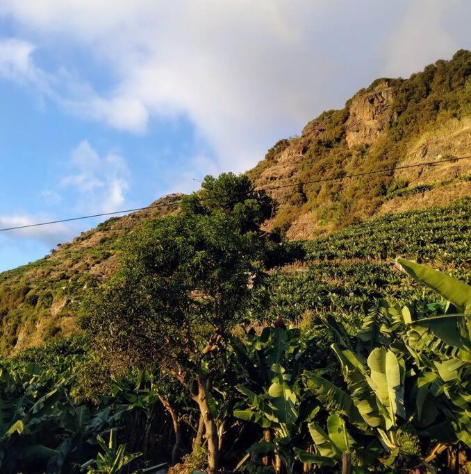 Anjos'S Choice Villa Ponta do Sol  Ngoại thất bức ảnh